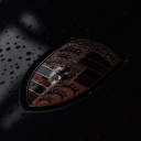 Poolse Arbeidsmigrant