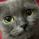 fuggyman
