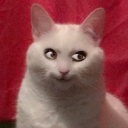 avatar Vaness