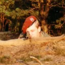 wookey1969