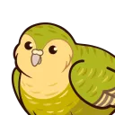 thataverybirb