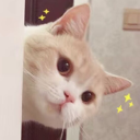 yueqi0522242's Avatar