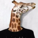 dekaykim