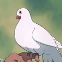 Drenna