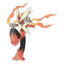 socotroco_1