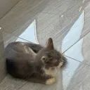 7wp9