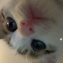 zee_wasd