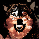 avatar Ibrawolf