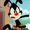 yakko_ow