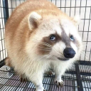 2oldman#0338's avatar