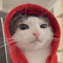 klecris