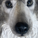 maccastoba#1190's avatar