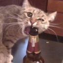 avatar Shrek is love