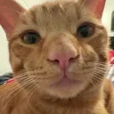 mrsniff