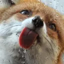 unfee