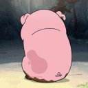 piggy5438