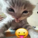 kathryn5944
