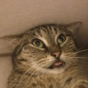 avatar BöseBrezel(RasanteRobbe)