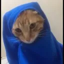 leohsodre