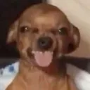 hxrker