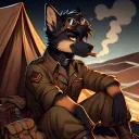 apache_shepherd