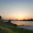 tranquil_kiwi_06252