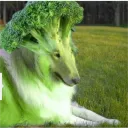 moykkymoo