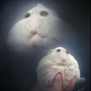 jovsha#5549's avatar