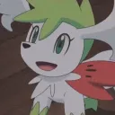 sshaymin