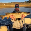 fishinginsteamboat.com