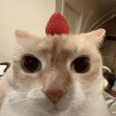 egg_8377