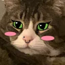 natncat