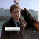 streamf