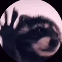 mrkiko144