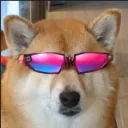 skiplalessive