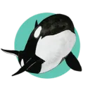 bolcko2478