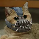 theroyalspork