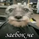 .l1nkerz