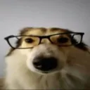 dila.mp4