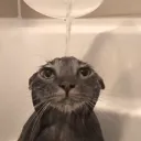 manusoto__