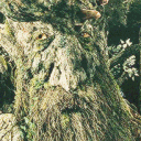treebeard122