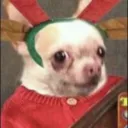 twinontwitch