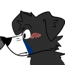 harborwaterdoggo
