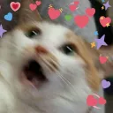 kairincat