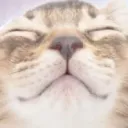 kurayamei