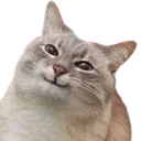 randallbobandall