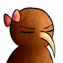 srtakiwi