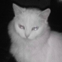 avatar ॰｡ཻ˚✧ ࣪.•