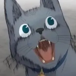 fasv38's Avatar