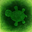 oddlittleturtle
